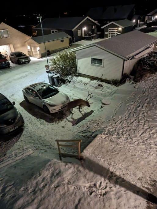 Koselig Leilighet Naer Bussholdeplass Og Natur. Tromsø Exterior foto